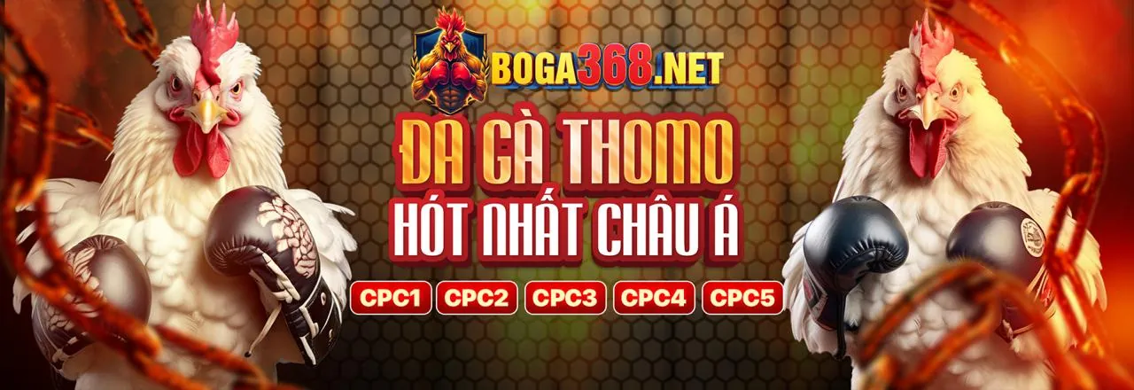 Hướng dẫn chơi game f1686s toàn diện