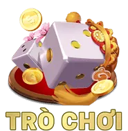 Hình ảnh tài khoản người dùng và đăng ký
